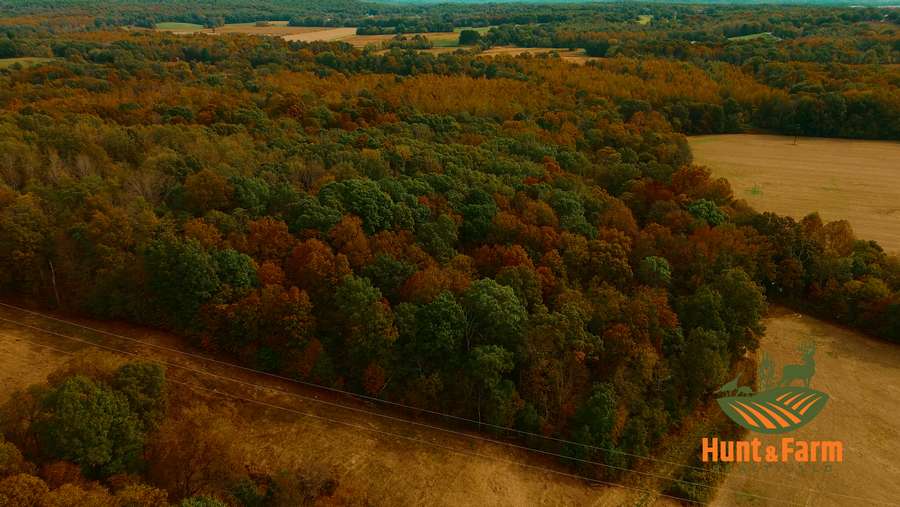 Still 2025-11-29 081237_1.26.1.jpg